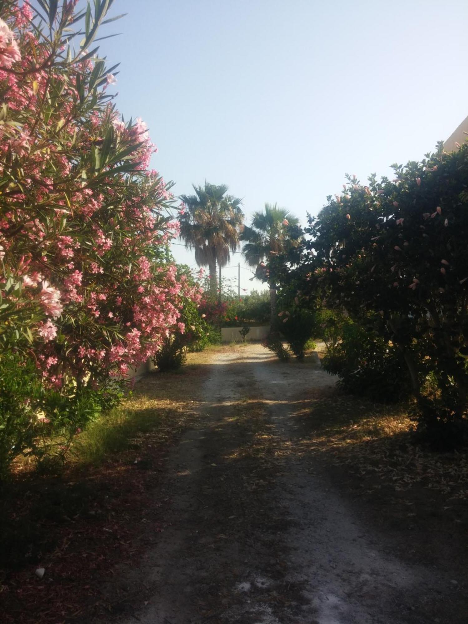 Ζini 2 Βίλα Κέφαλος Εξωτερικό φωτογραφία