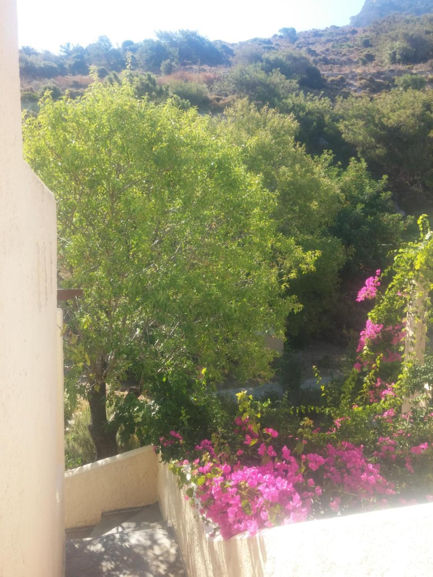 Ζini 2 Βίλα Κέφαλος Εξωτερικό φωτογραφία