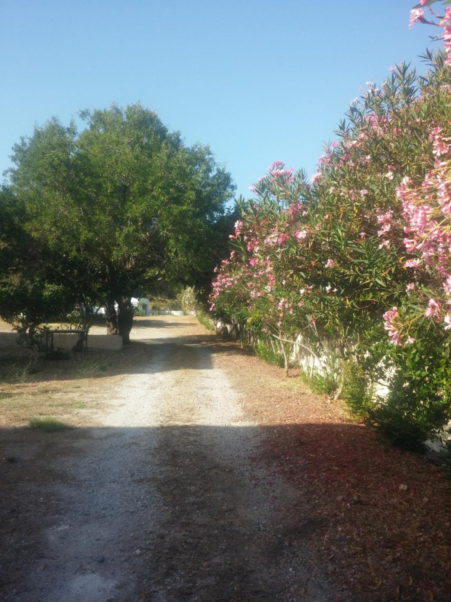 Ζini 2 Βίλα Κέφαλος Εξωτερικό φωτογραφία